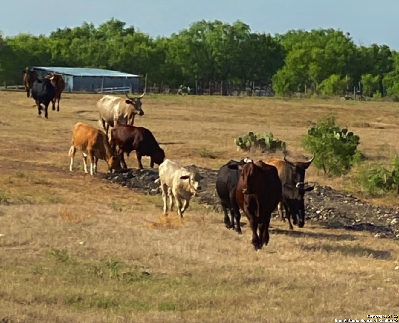 13220 Highway 1604 Loop San Antonio, TX 78263 - Photo 4 of 49 a view of swimming pool with outdoor seating