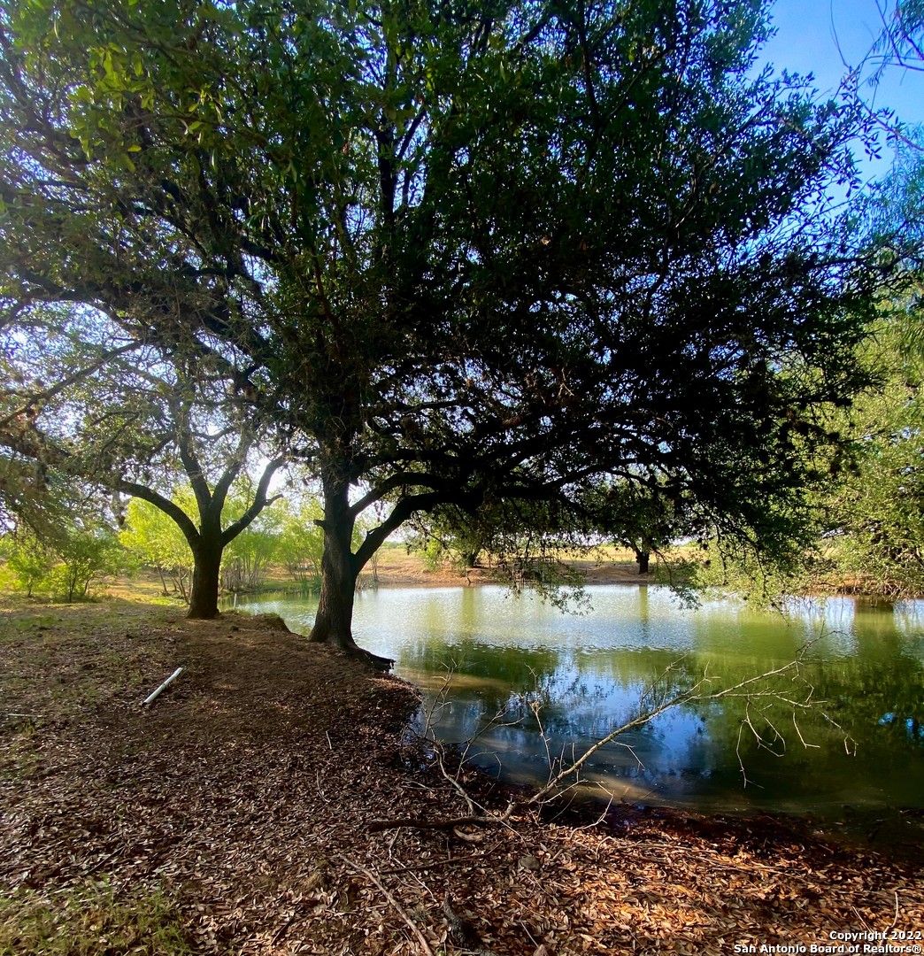 13220 Highway 1604 Loop San Antonio, TX 78263 - Photo 45 of 49 a view of backyard with green space