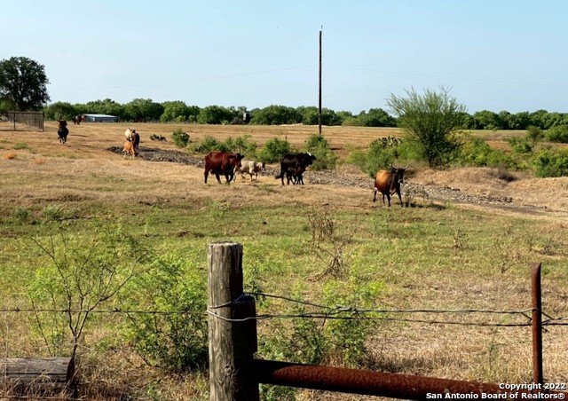 13220 Highway 1604 Loop San Antonio, TX 78263 - Photo 5 of 49 a view of lake view
