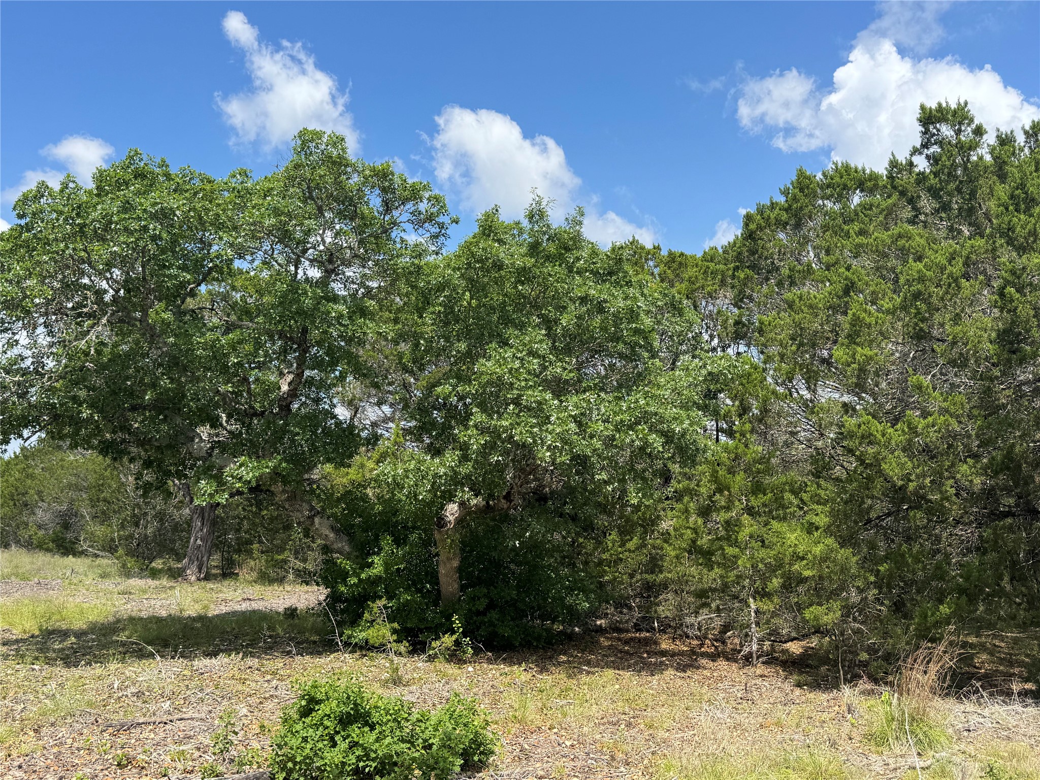 Lot 37 Riparian Elm Road Bertram, TX 78605 - Photo 10 of 13 a view of a yard