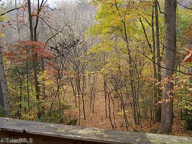 3081 High Cliffs Road Pfafftown, NC 27040 - Photo 15 of 16 View. from back deck
