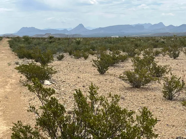 a view of a lake with a mountain