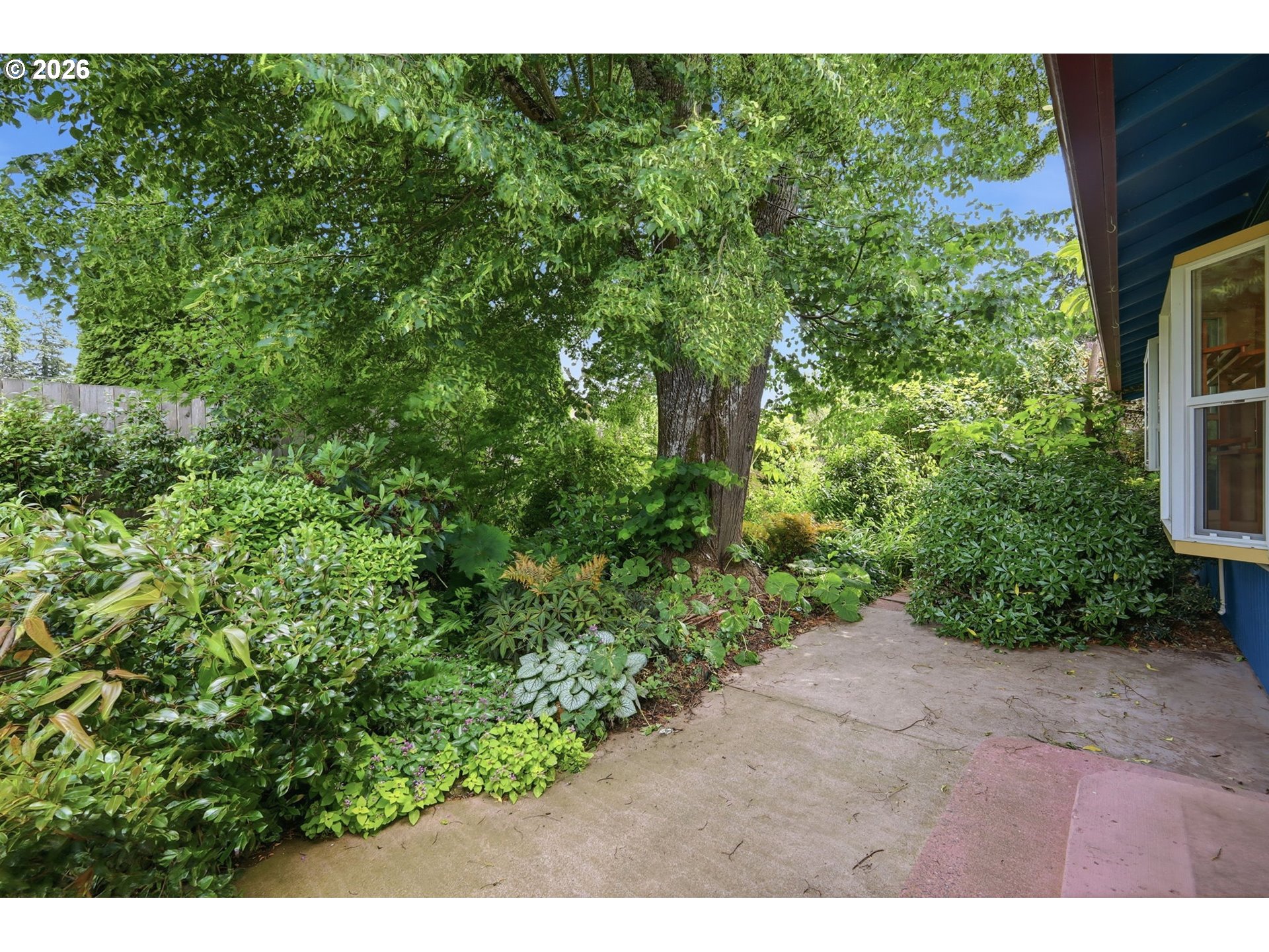 3987 Andover Street Eugene, OR 97404 - Photo 30 of 43 Backyard