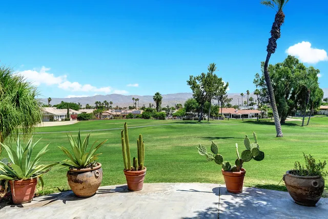 a view of a garden with plants and a lake view