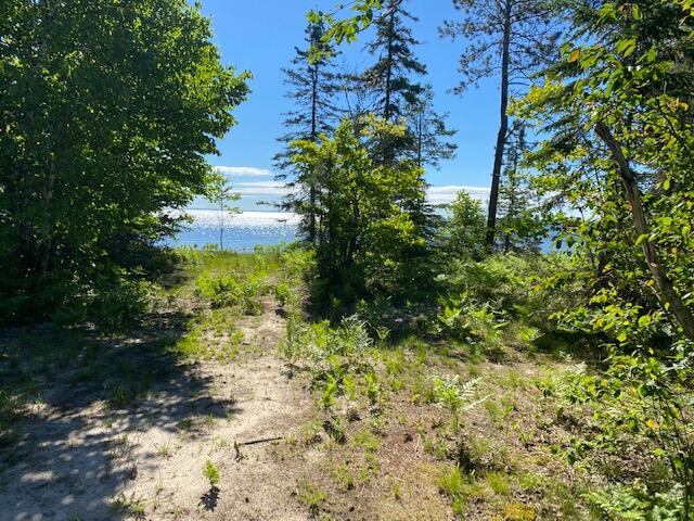 9600 North Whitefish Point Road Paradise, MI 49768 - Photo 7 of 16 Gallery Image 7