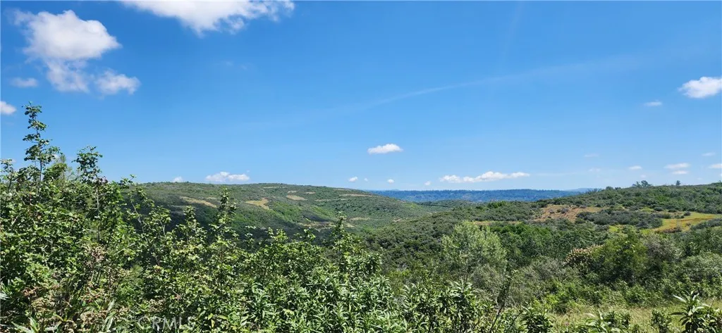 0 Hummer Forest Ranch Magalia, CA 95954 - Photo 14 of 28 a view of a lush green space