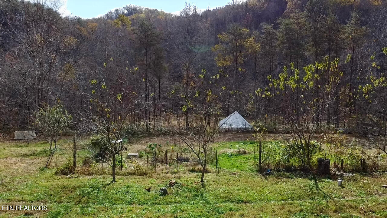 1693 Steve Brown Road Bean Station, TN 37708 - Photo 12 of 36 Overhead Orchard