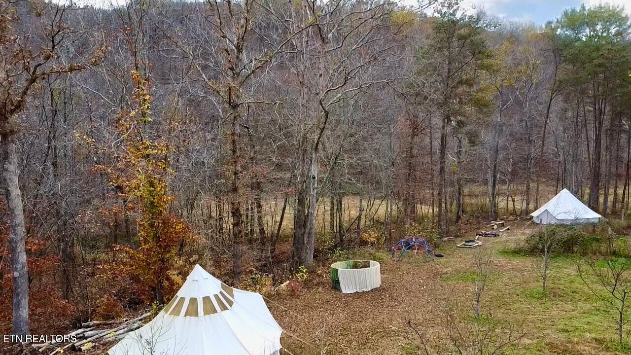 1693 Steve Brown Road Bean Station, TN 37708 - Photo 14 of 36 Middle Creek Line