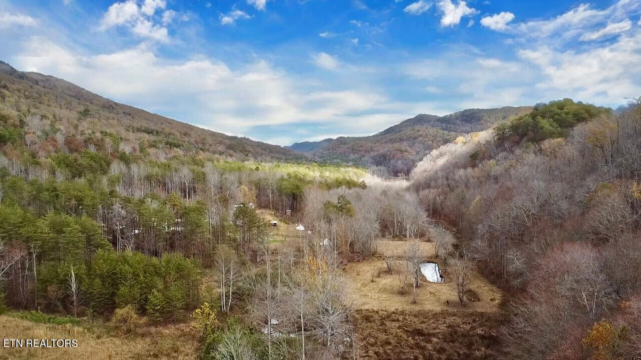 1693 Steve Brown Road Bean Station, TN 37708 - Photo 15 of 36 Valley
