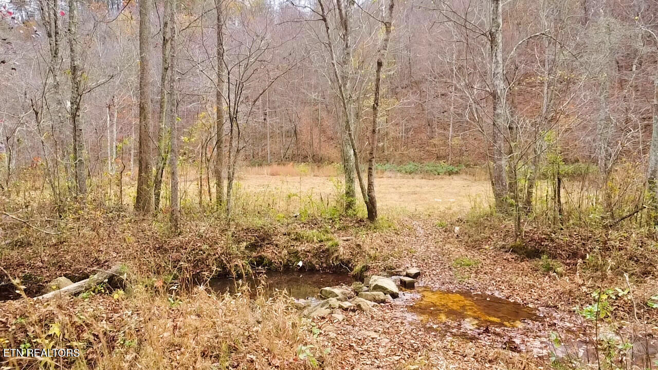 1693 Steve Brown Road Bean Station, TN 37708 - Photo 19 of 36 Creek Crossing
