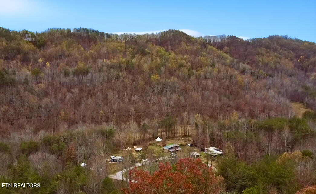 1693 Steve Brown Road Bean Station, TN 37708 - Photo 21 of 36 Full Property View