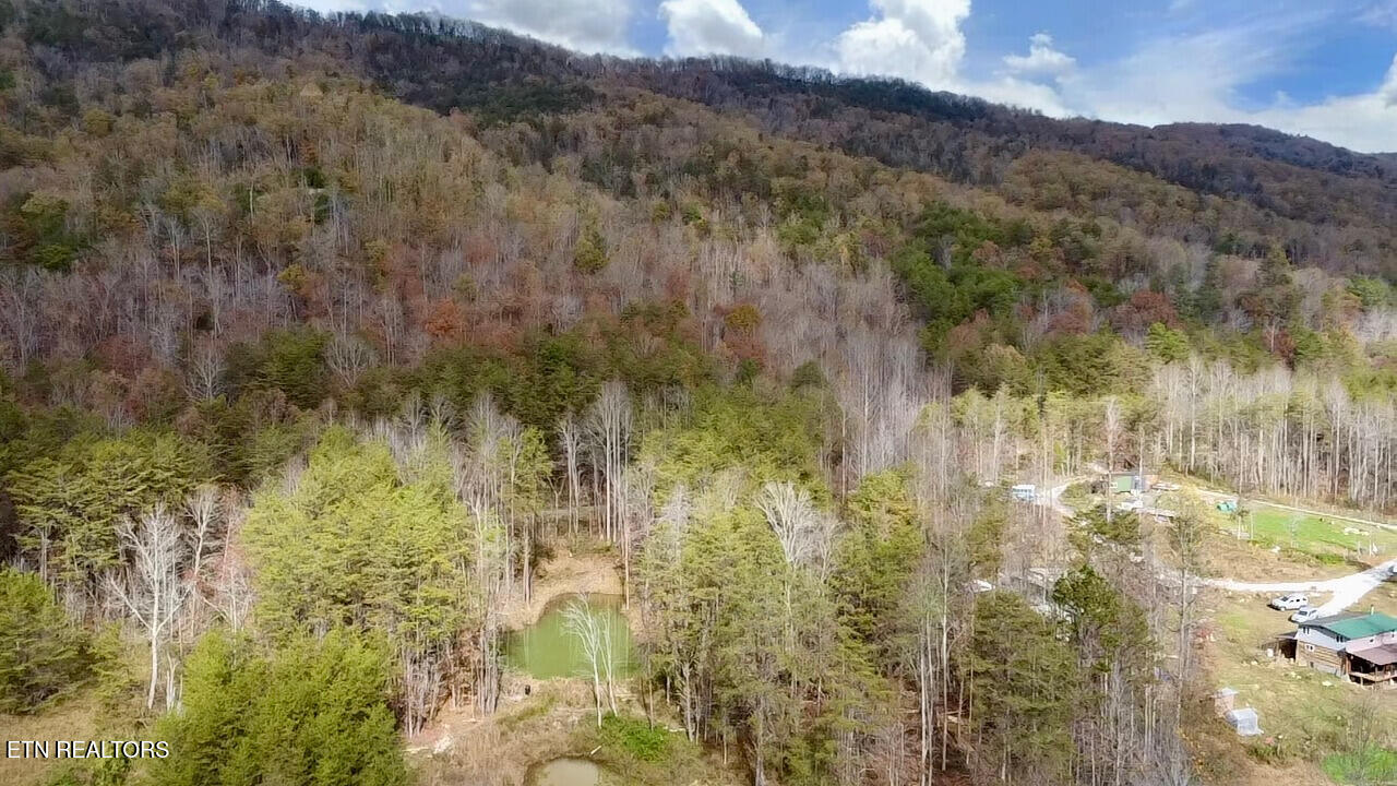 1693 Steve Brown Road Bean Station, TN 37708 - Photo 22 of 36 Over Head
