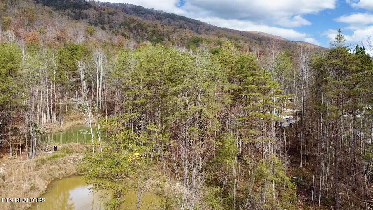 1693 Steve Brown Road Bean Station, TN 37708 - Photo 23 of 36 Pond 1 and 2