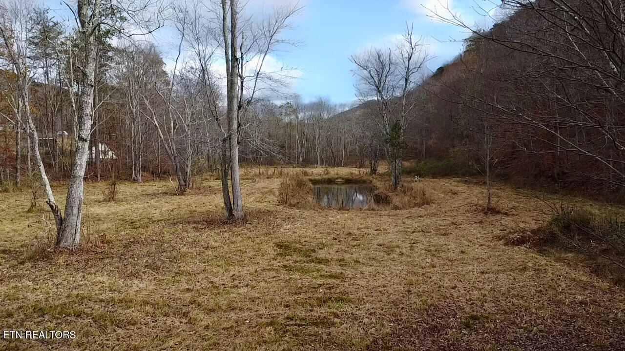 1693 Steve Brown Road Bean Station, TN 37708 - Photo 24 of 36 Spring Fed Pond 3