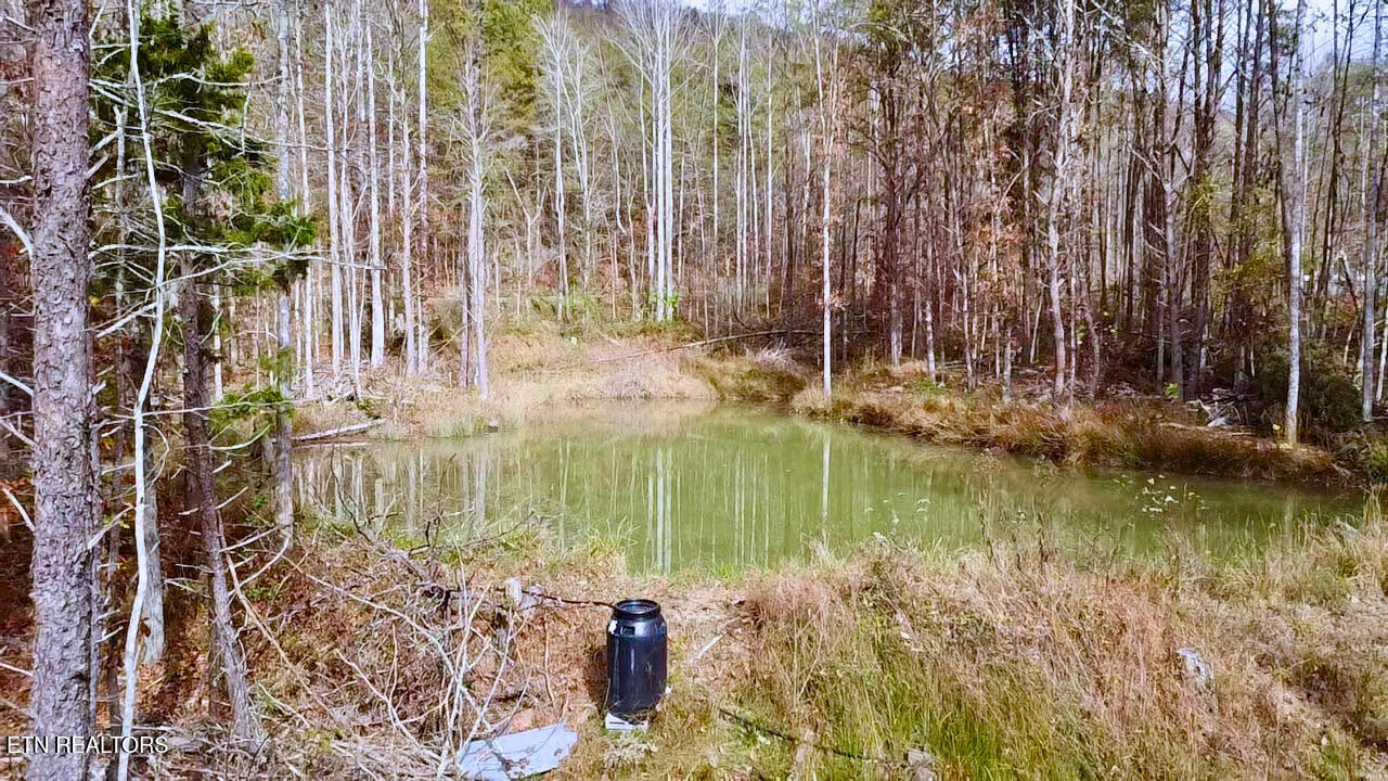 1693 Steve Brown Road Bean Station, TN 37708 - Photo 25 of 36 Upper Pond One