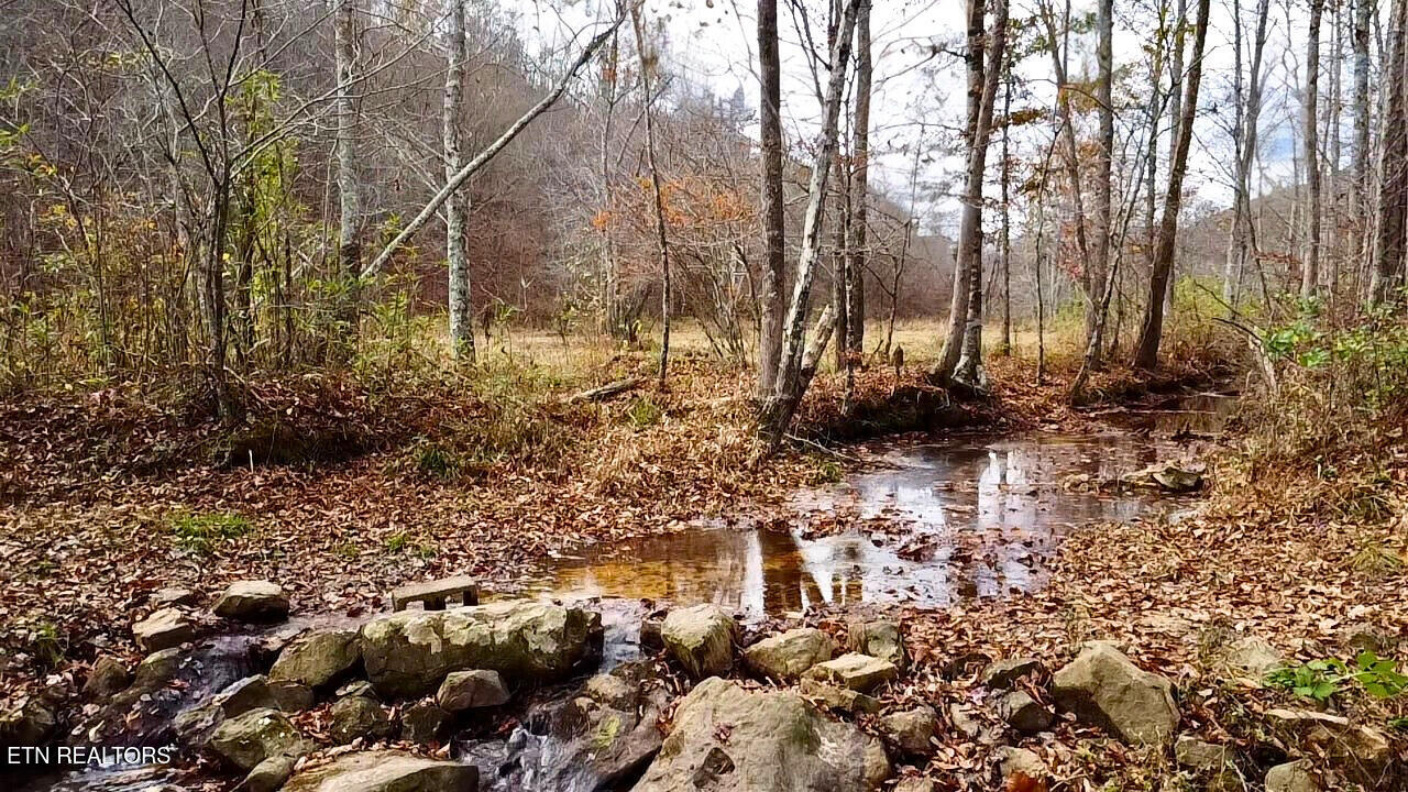 1693 Steve Brown Road Bean Station, TN 37708 - Photo 32 of 36 Creek View from Crossing