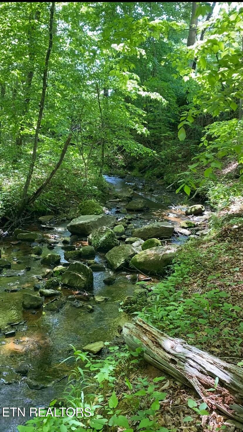 1693 Steve Brown Road Bean Station, TN 37708 - Photo 36 of 36 Steve Brown creek 2