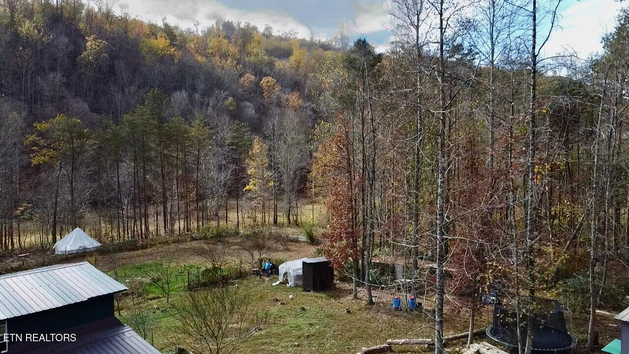 1693 Steve Brown Road Bean Station, TN 37708 - Photo 6 of 36 Overhead