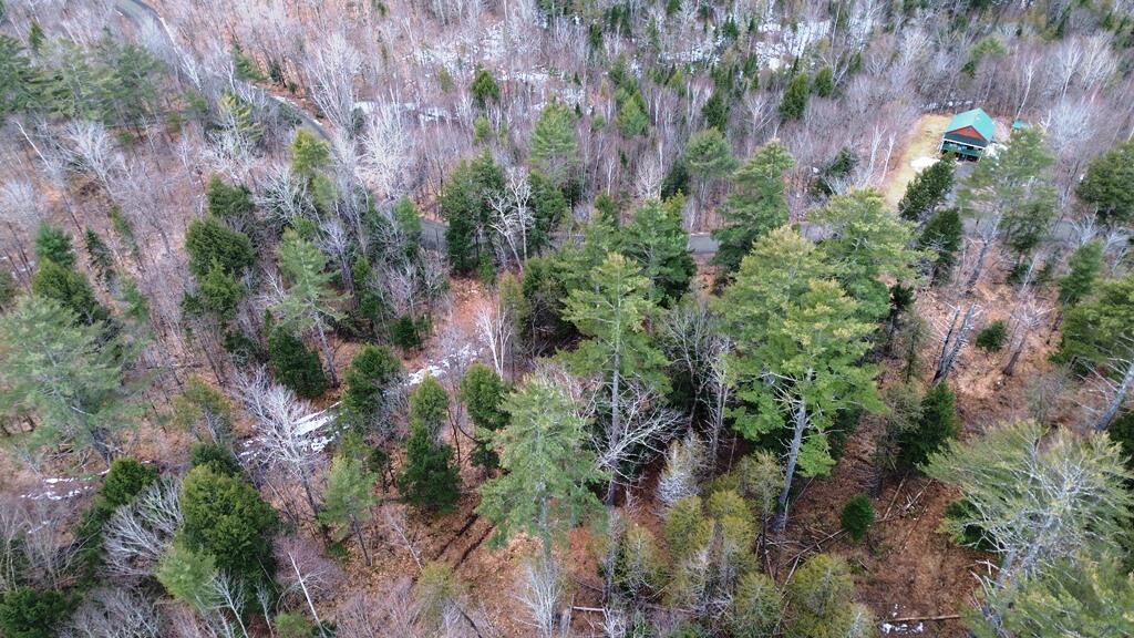 Lot 6 Peterson Road Dover-Foxcroft, ME 04426 - Photo 16 of 21 DJI_0028