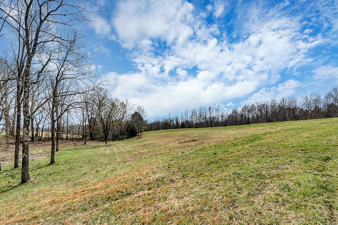 2585 Pow Road Baxter, TN 38544 - Photo 7 of 83 a view of an outdoor space and a yard