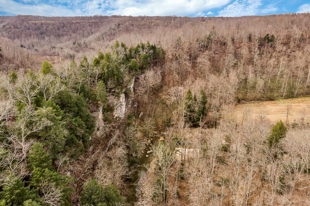 2585 Pow Road Baxter, TN 38544 - Photo 79 of 83 a view of a dry yard with trees