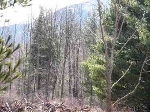 Jones Road Round Top, NY 12473 - Photo 3 of 3 Photo 3