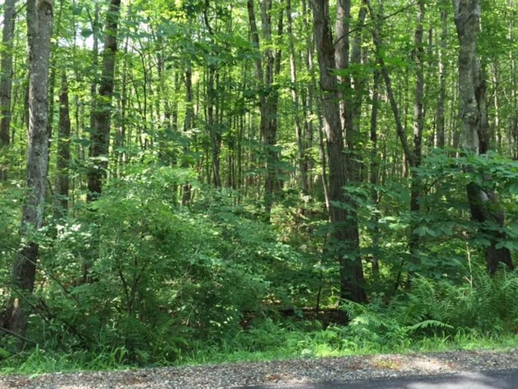 Map#3-1a Tatnic Road Wells, ME 04090 - Photo 2 of 11 Property