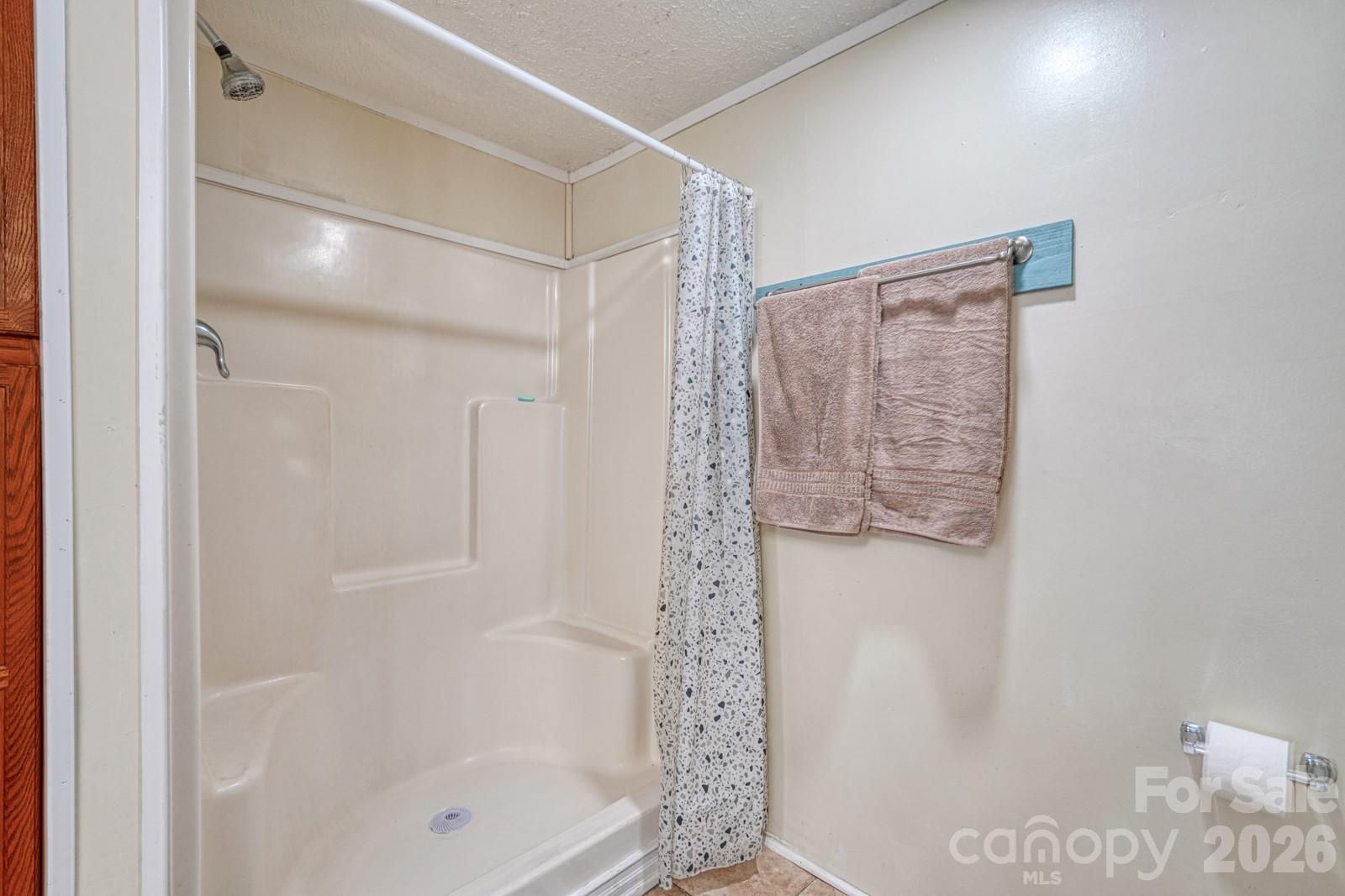 123 Little Rock Way Mill Spring, NC 28756 - Photo 25 of 42