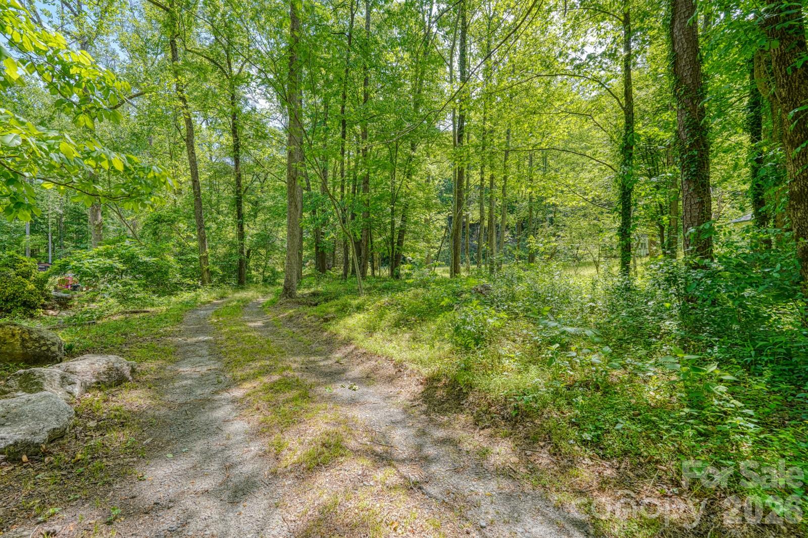 123 Little Rock Way Mill Spring, NC 28756 - Photo 9 of 42