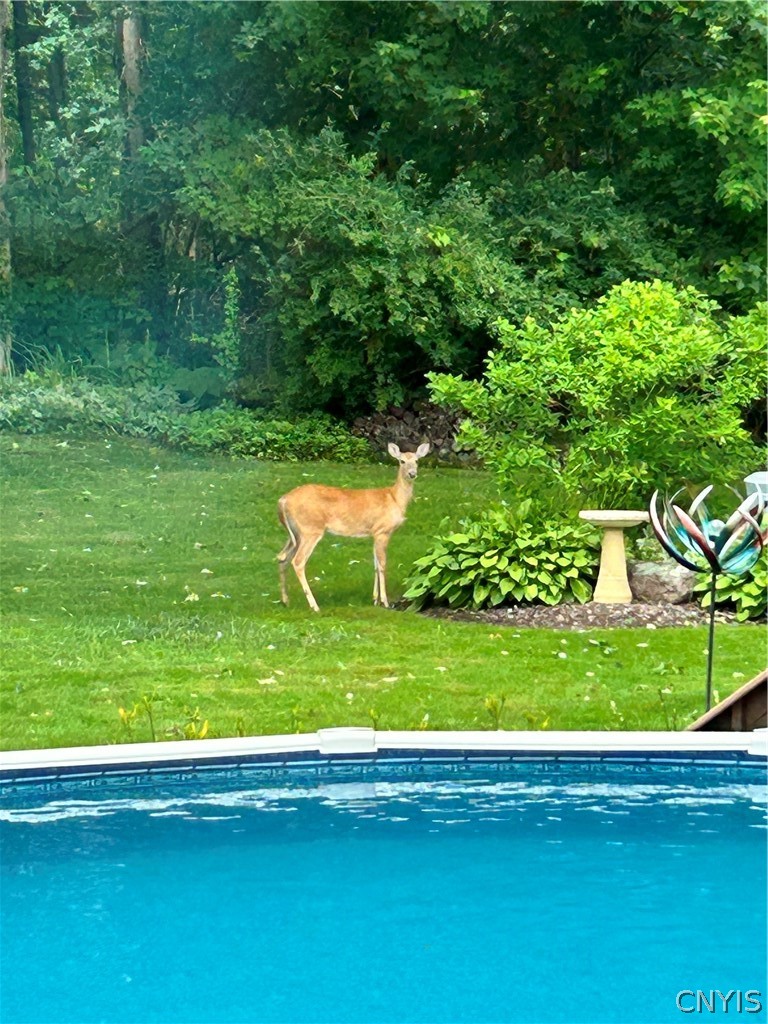 51 Patrick Circle Fulton, NY 13069 - Photo 22 of 50