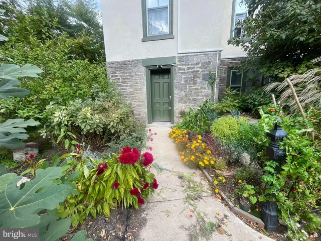a flower plants in front of a building
