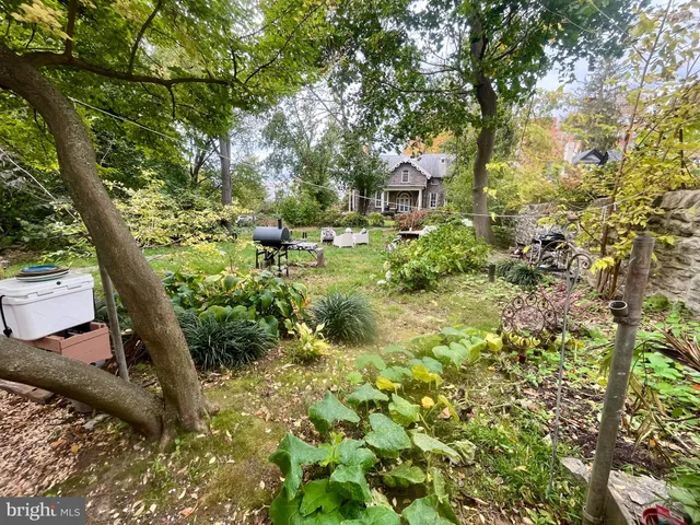 a view of a garden with plants