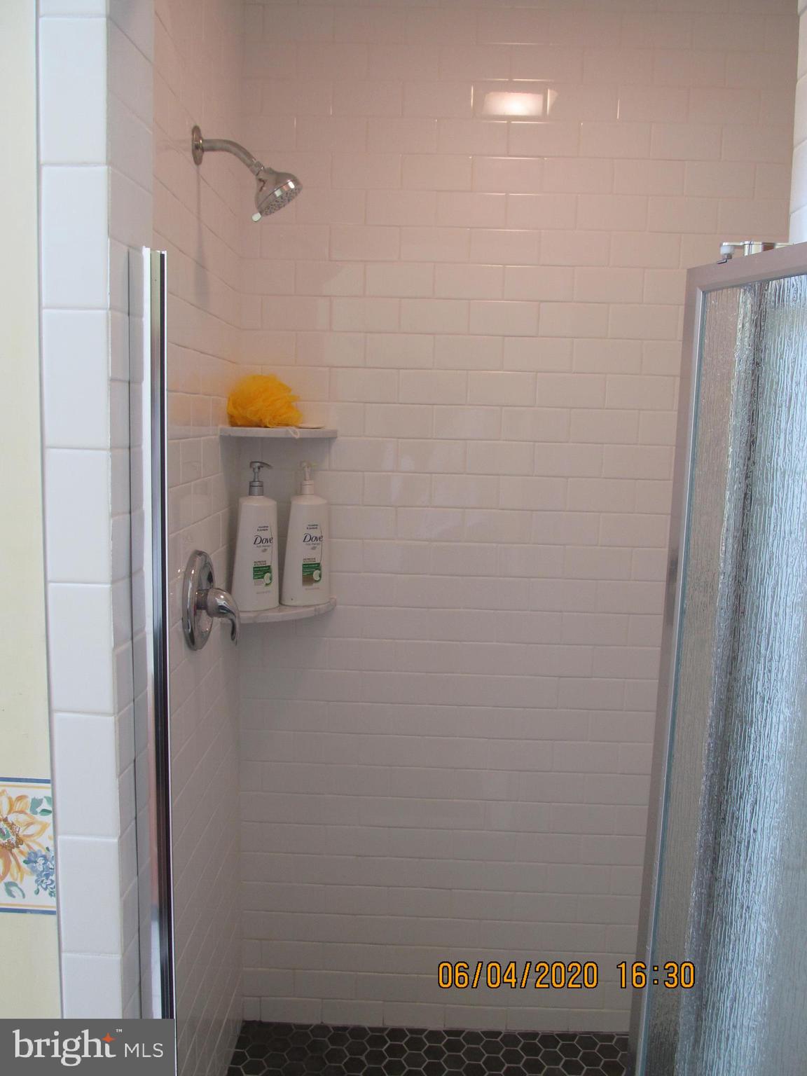 1315 Starr Road Centreville, MD 21617 - Photo 19 of 26 New Tiled Master Bath Shower