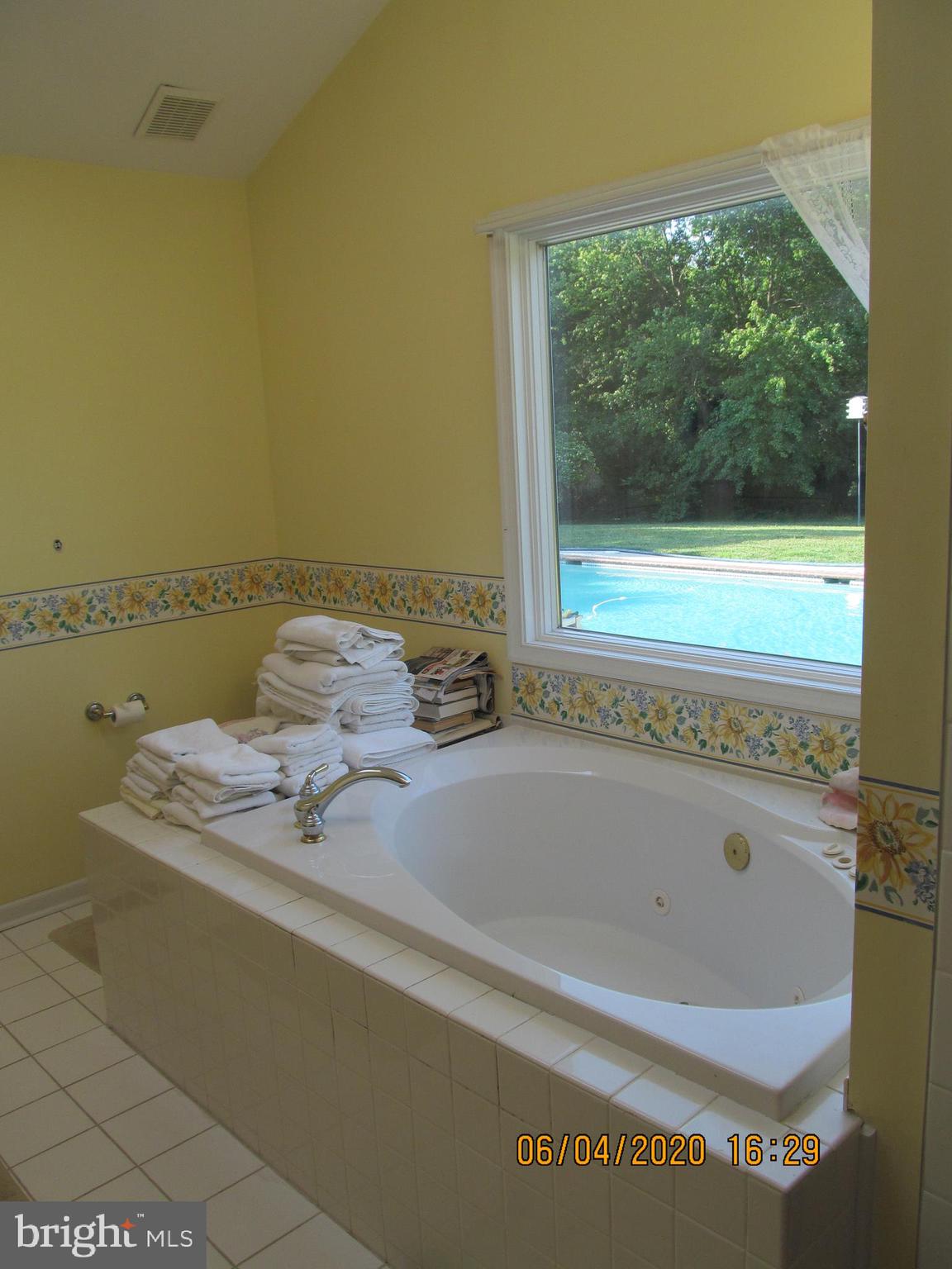1315 Starr Road Centreville, MD 21617 - Photo 20 of 26 Master Bath Jacuzzi Tub