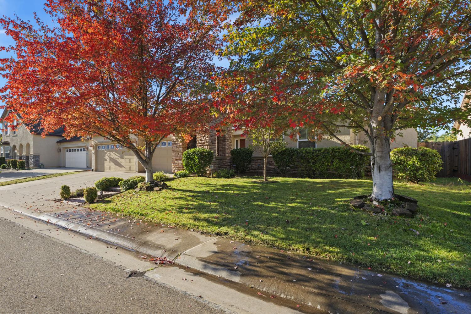 3412 Muscat Way Rancho Cordova, CA 95670 - Photo 3 of 33 a backyard of a house with plants and large tree