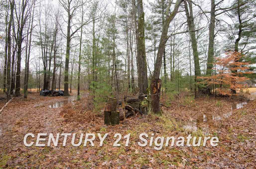 20091 West Burt Road Brant, MI 48614 - Photo 3 of 13