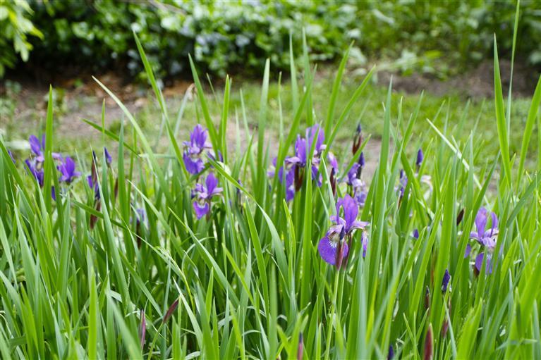 110 Viola Road Eastham, MA 02642 - Photo 31 of 35 Additional Photo