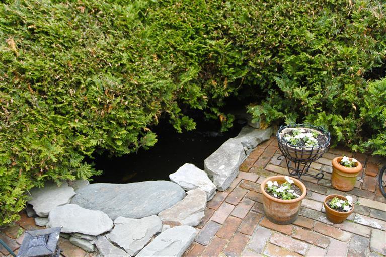 110 Viola Road Eastham, MA 02642 - Photo 34 of 35 Additional Photo