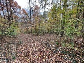 0 Aladdin Road Pfafftown, NC 27040 - Photo 2 of 17