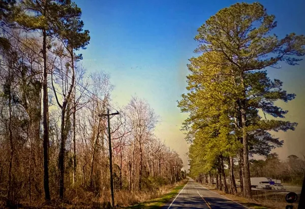 $740,000 | 0 Citadel Road, Orangeburg, SC 29118