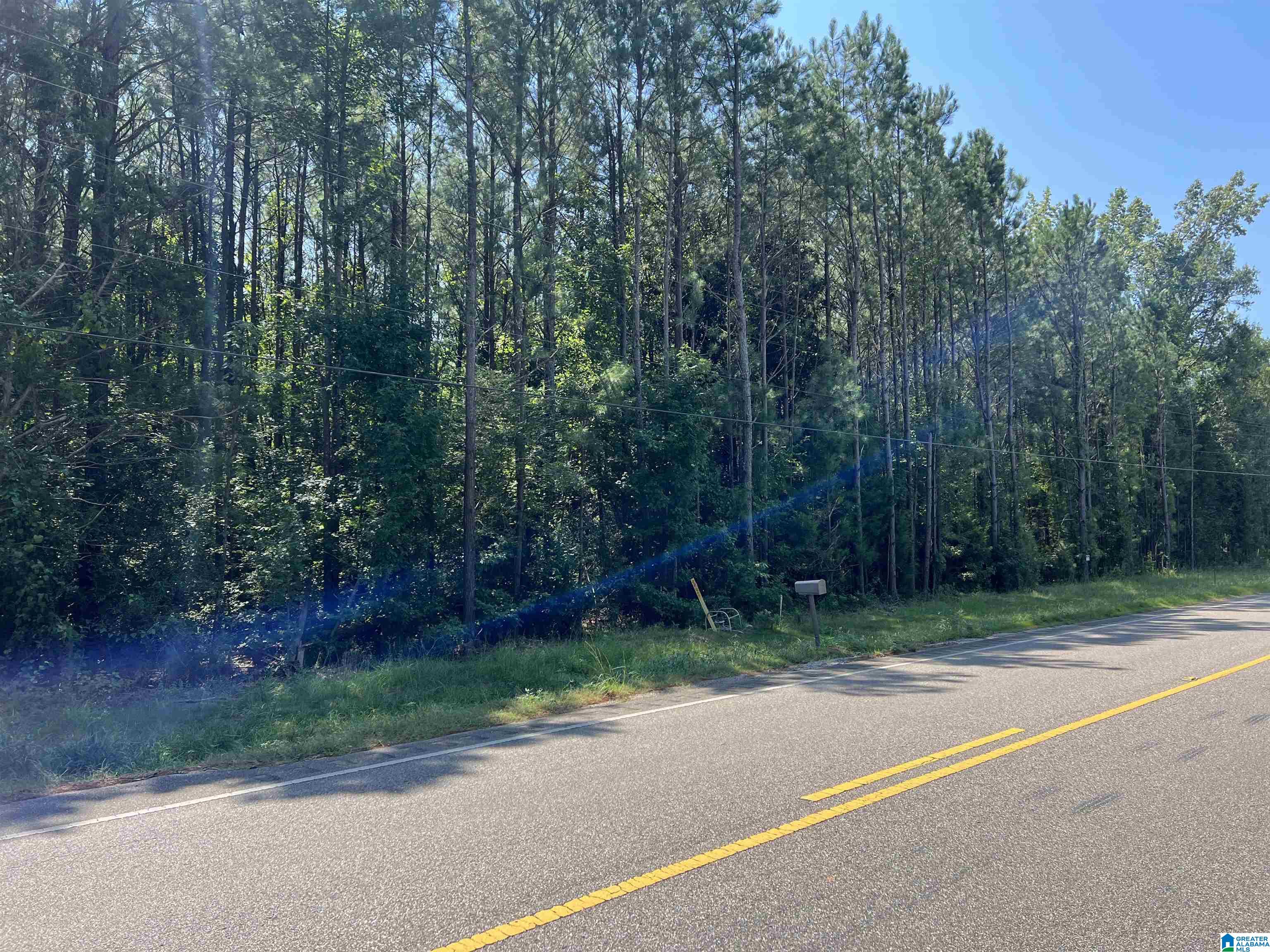 4440 Highway 22 Stanton, AL 36790 - Photo 3 of 7