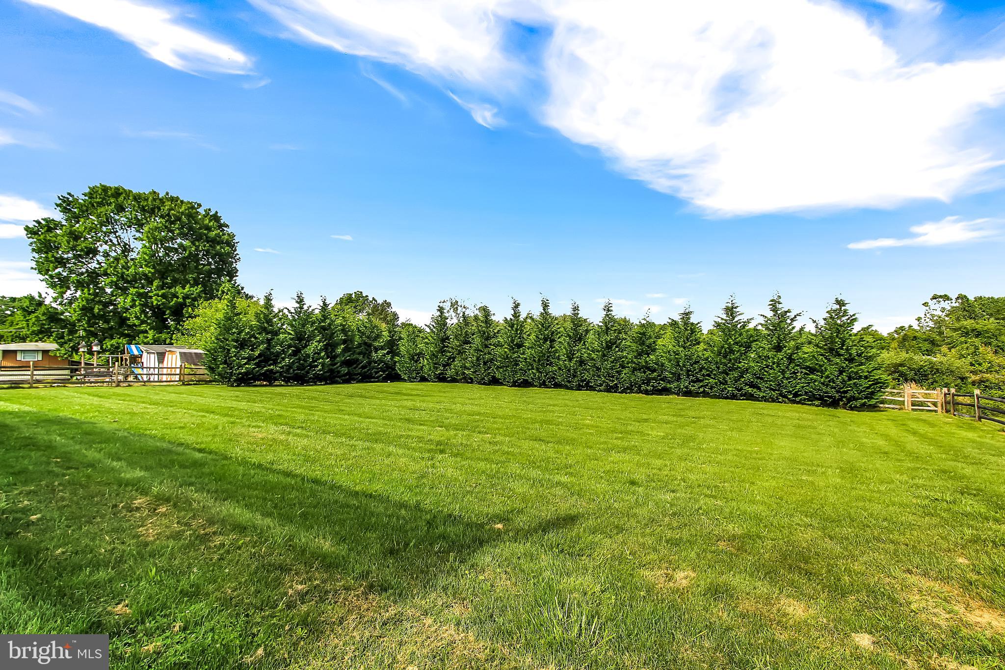 21 Stevens Road Rising Sun, MD 21911 - Photo 7 of 37 Fabulous Yard
