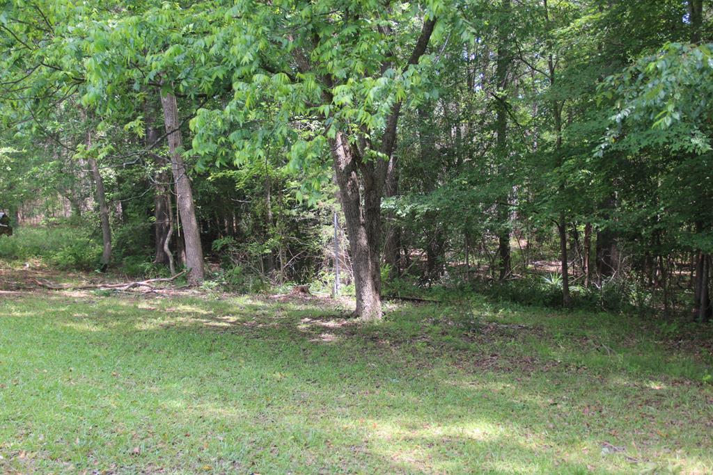79 Pierce Boozer Loop Prosperity, SC 29127 - Photo 5 of 19