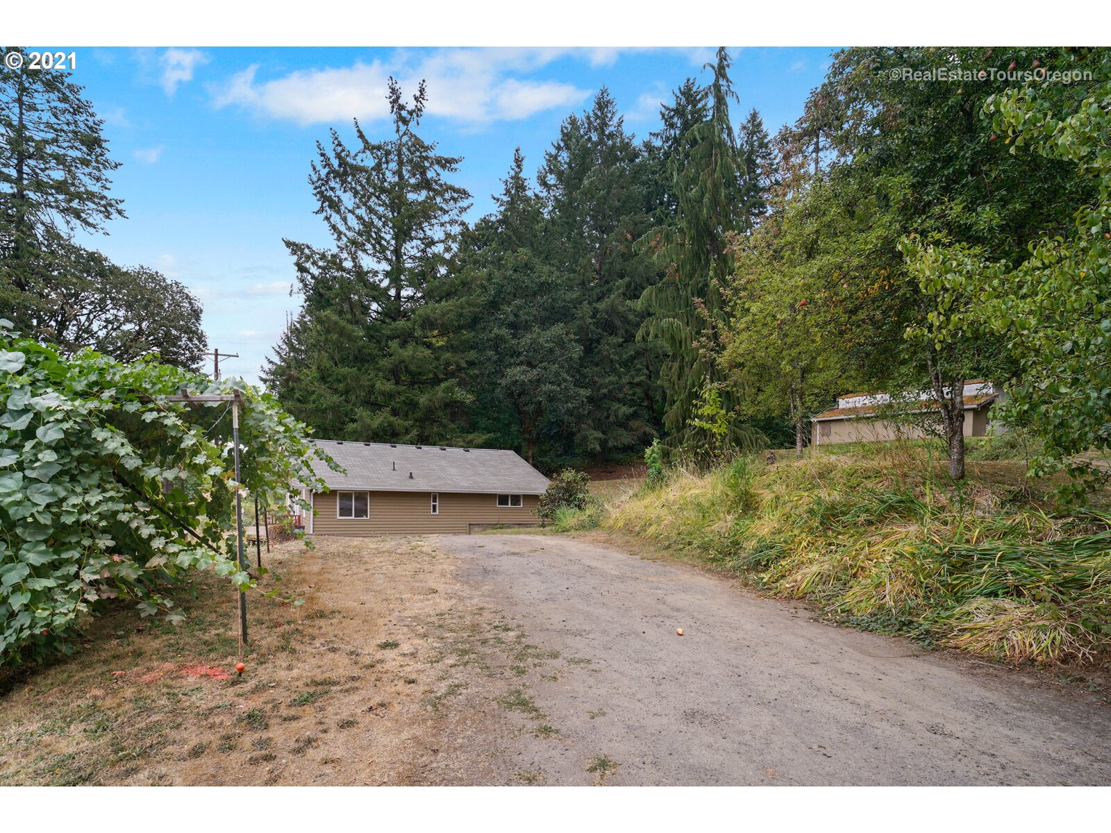 46540 Southwest South Road Gaston, OR 97119 - Photo 15 of 16