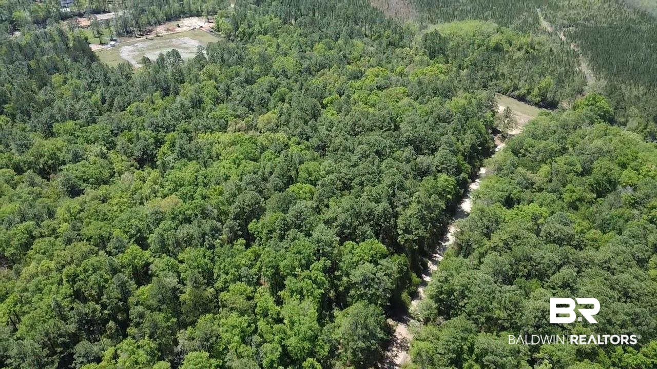 0 I-65 Service Road Creola, AL 36525 - Photo 10 of 20 Drone / aerial view featuring a forest view