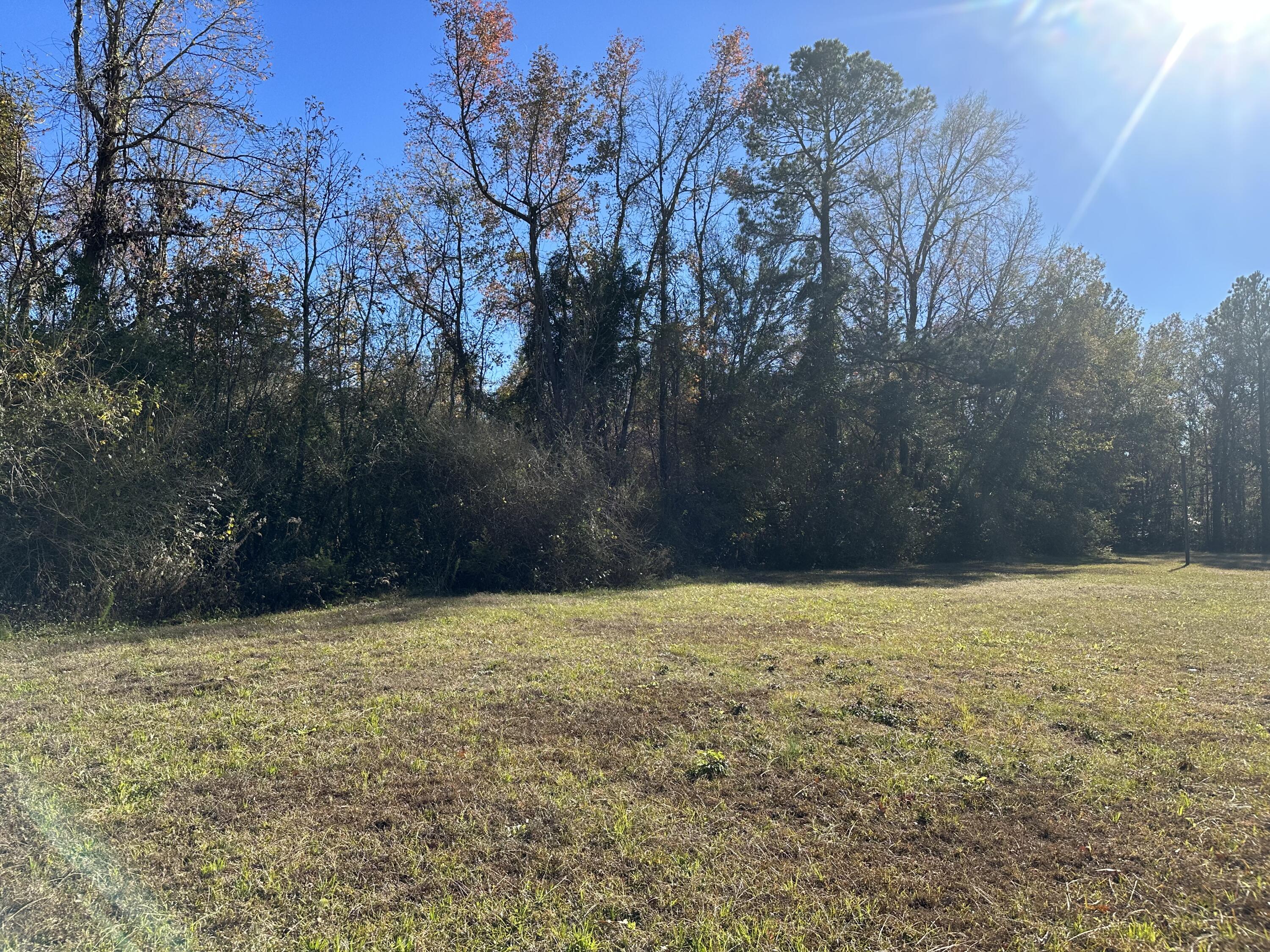 18756 Lowcountry Highway Ruffin, SC 29475 - Photo 36 of 36