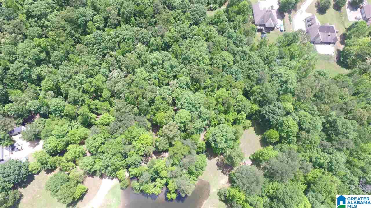 Lot 2 Brookview Lane, Unit 2 Helena, AL 35080 - Photo 2 of 13