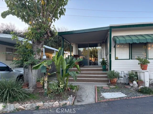 a view of a house with potted plants and a large tree