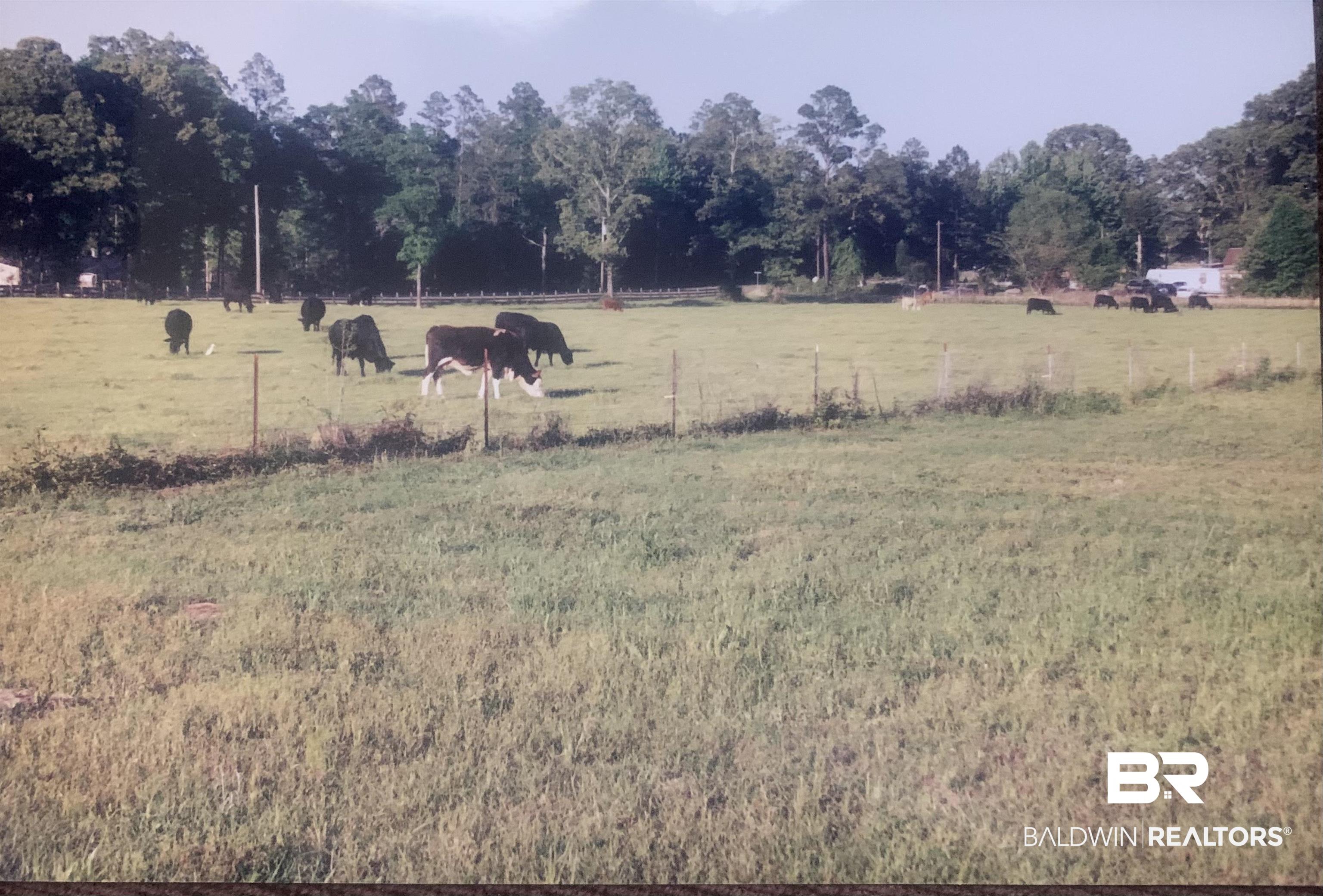 0 Hoyle Bryars Road Perdido, AL 36562 - Photo 3 of 6