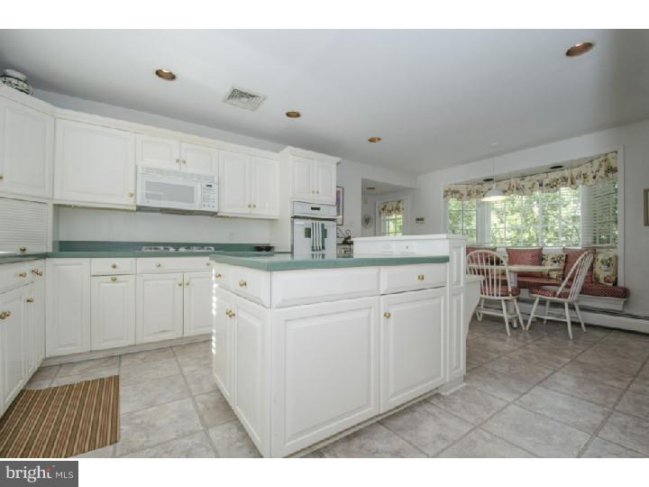 727 Mt Moro Road Villanova, PA 19085 - Photo 14 of 21 Kitchen